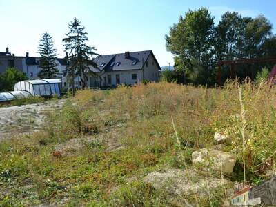 Grundstück mieten in 2482 Münchendorf (Bild 3)