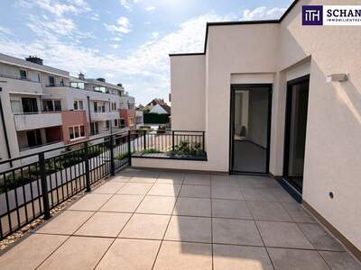 Terrassenwohnung kaufen in 1220 Wien (Bild 1)