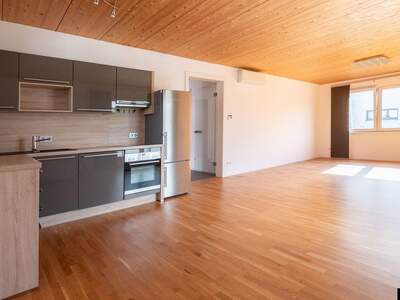 Wohnung mit Balkon mieten in 4221 Steyregg (Bild 2)