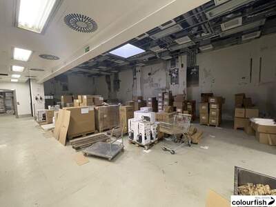 Gewerbeobjekt mieten in 1210 Wien (Bild 2)