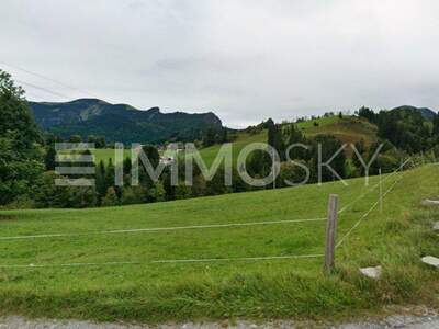 Grundstück kaufen in 5423 St. Koloman (Bild 1)