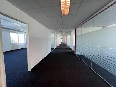 Gewerbeobjekt mieten in 1110 Wien (Bild 4)