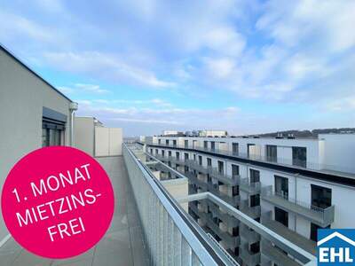 Terrassenwohnung mieten in 1100 Wien (Bild 1)