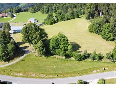 Grundstück kaufen in 4273 Kaltenberg