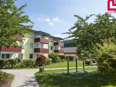 Wohnung mieten in 4600 Schleißheim (Bild 1)