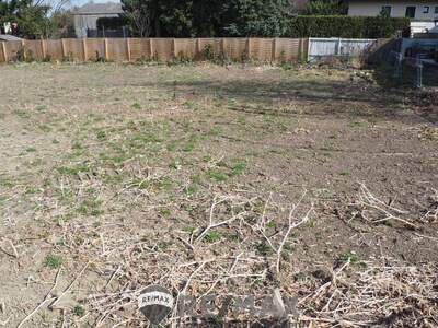 Grundstück kaufen in 3433 Königstetten