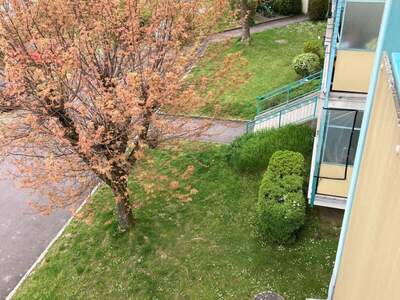 Wohnung mieten in 4209 Engerwitzdorf (Bild 3)
