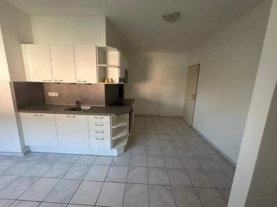 Mietwohnung provisionsfrei in 2283 Obersiebenbrunn