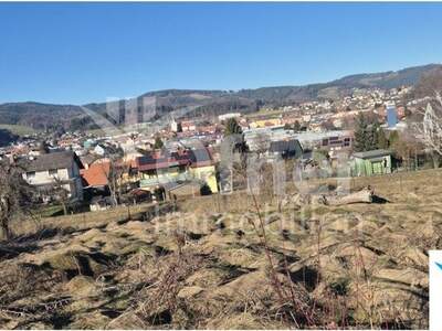 Grundstück kaufen in 8580 Pichling (Bild 5)