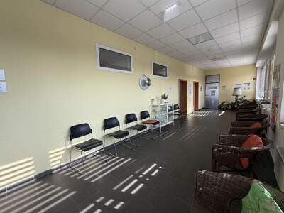 Gewerbeobjekt mieten in 8073 Feldkirchen (Bild 5)