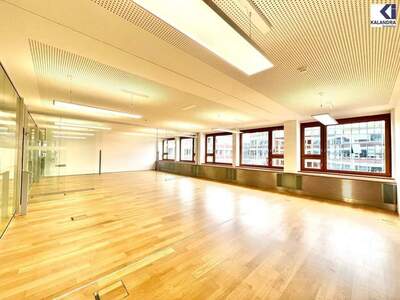 Gewerbeobjekt mieten in 1010 Wien