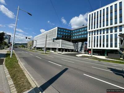 Gewerbeobjekt mieten in 4020 Linz (Bild 3)