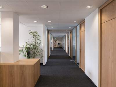 Gewerbeobjekt mieten in 2345 Brunn (Bild 4)