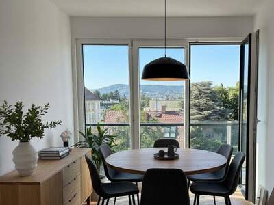 Dachgeschosswohnung provisionsfrei mieten in 1130 Wien