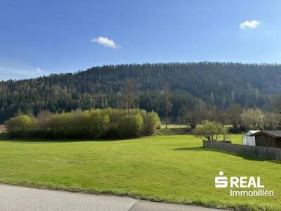 Grundstück kaufen in 5350 Strobl (Bild 4)