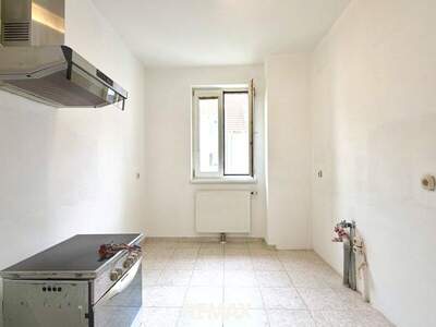 Terrassenwohnung kaufen in 2463 Stixneusiedl (Bild 5)