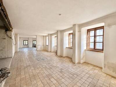 Haus mit Garten kaufen in 1190 Wien (Bild 4)