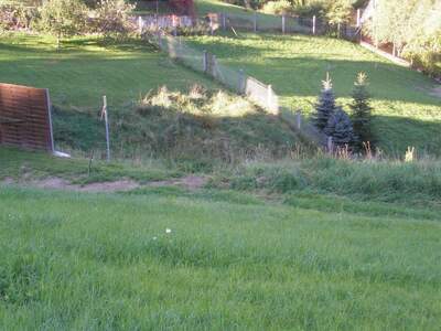 Gewerbeobjekt mieten in 4120 Neufelden (Bild 2)