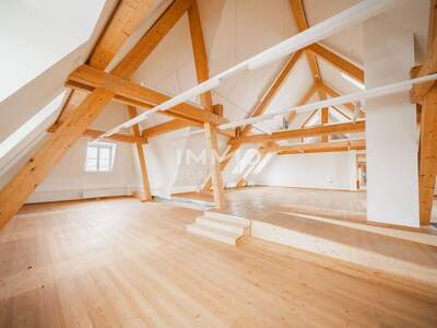 Gewerbeobjekt kaufen in 2320 Mannswörth