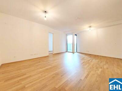 Terrassenwohnung mieten in 1020 Wien (Bild 2)