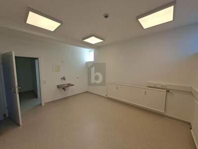 Büro / Praxis mieten in 9125 Kühnsdorf (Bild 4)