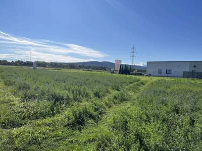 Grundstück mieten in 2700 Wiener Neustadt