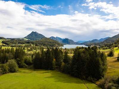 Haus mit Garten kaufen in 5322 Hof (Bild 4)