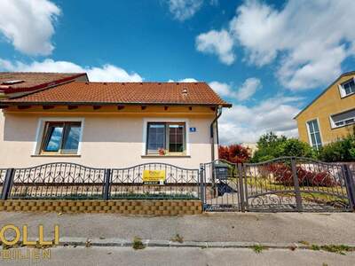 Haus kaufen in 2402 Haslau