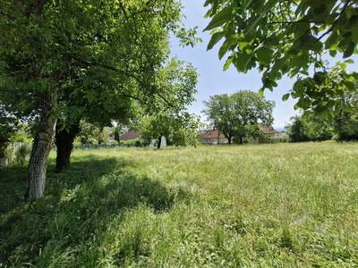 Grundstück kaufen in 4060 Leonding (Bild 1)