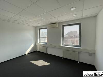 Gewerbeobjekt mieten in 1060 Wien (Bild 3)