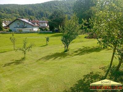 Grundstück kaufen in 2571 Thenneberg (Bild 3)