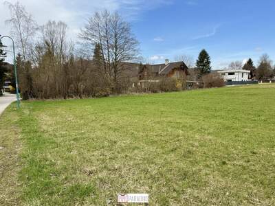 Grundstück kaufen in 2392 Grub