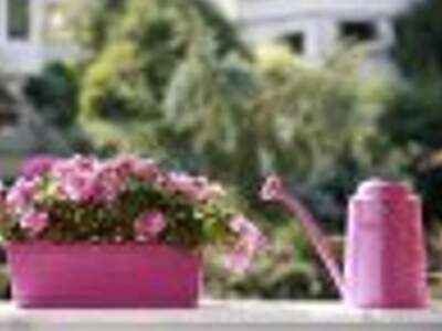 Apartment mieten in 9472 Kärnten