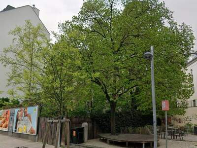Grundstück mieten in 1040 Wien