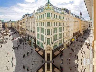Gewerbeobjekt mieten in 1010 Wien