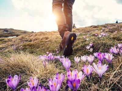 Wohnung mit Balkon kaufen in 8970 Schladming (Bild 5)
