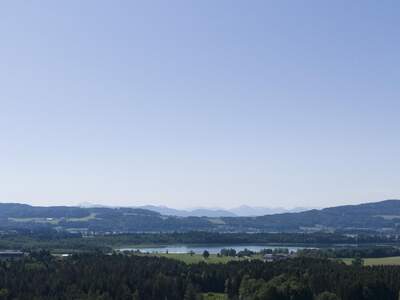 Lager kaufen in 5165 Berndorf (Bild 1)