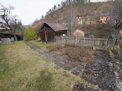 Haus kaufen in 3970 Weitra (Bild 3)