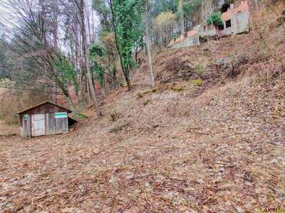 Grundstück kaufen in 8114 Gratkorn (Bild 2)