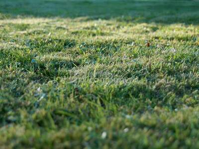 Grundstück kaufen in 2201 Gerasdorf