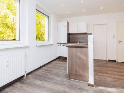 Apartment provisionsfrei kaufen in 8020 Steiermark