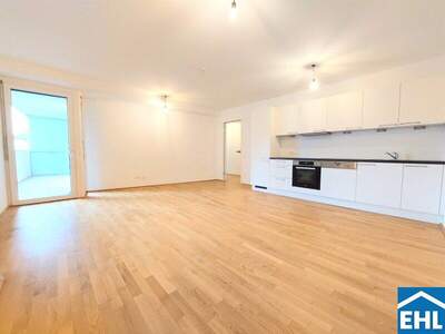 Terrassenwohnung mieten in 1020 Wien (Bild 1)