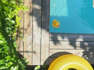 Haus mit Garten kaufen in 2522 Oberwaltersdorf (Bild 5)