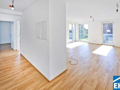 Terrassenwohnung kaufen in 3500 Krems (Bild 3)