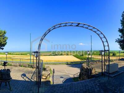 Haus kaufen in 7091 Breitenbrunn