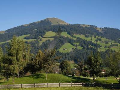 Grundstück kaufen in 6363 Westendorf