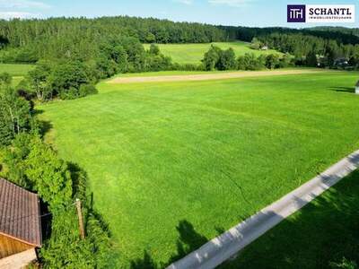 Grundstück kaufen in 8045 Weinitzen