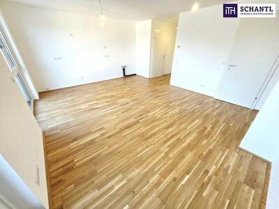 Terrassenwohnung kaufen in 1220 Wien (Bild 5)