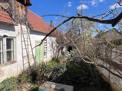 Haus mit Garten kaufen in 7091 Breitenbrunn (Bild 5)