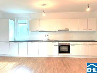 Terrassenwohnung mieten in 1100 Wien (Bild 1)